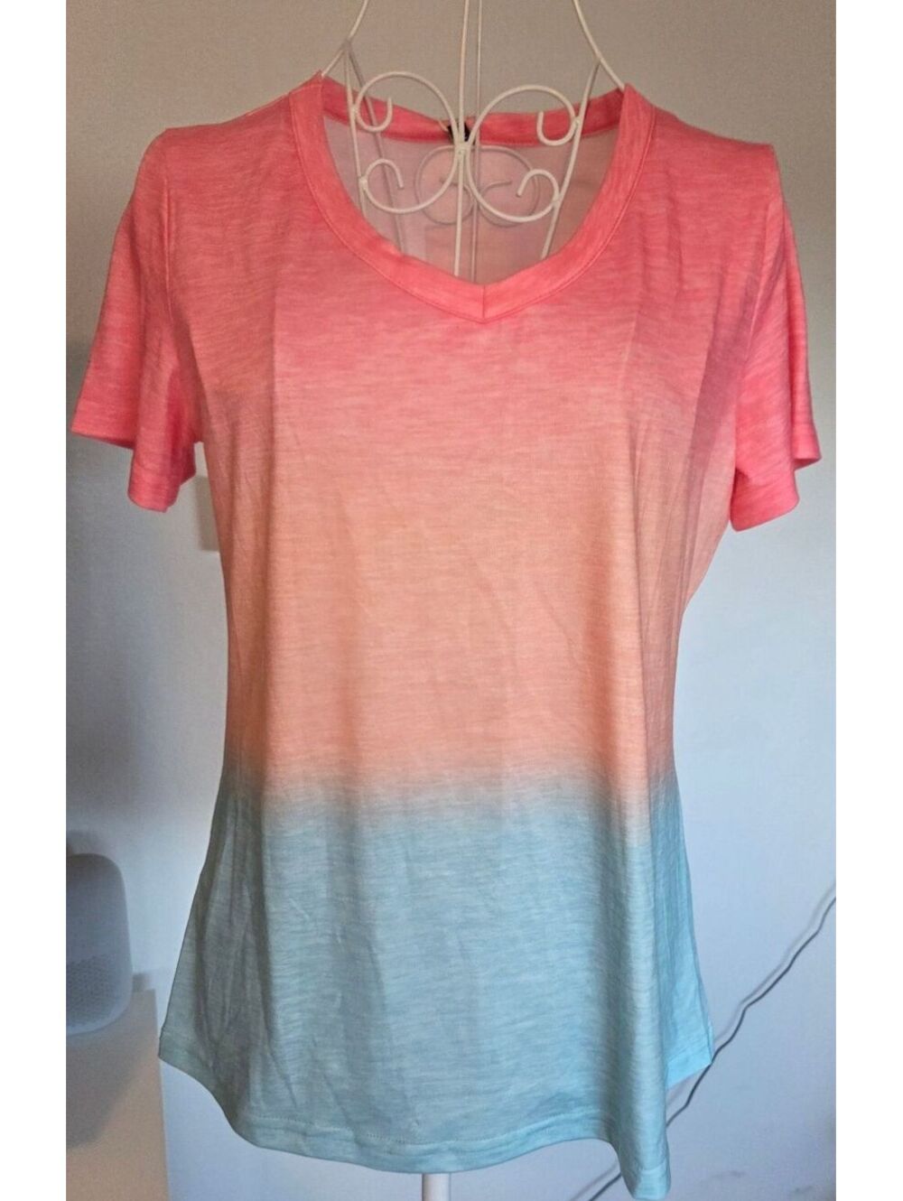 Flamingals Women's Ombre V-Neck T-Shirt XS